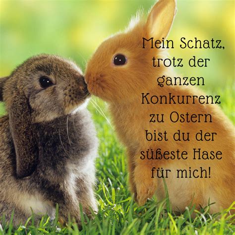 frohe ostern mein hase